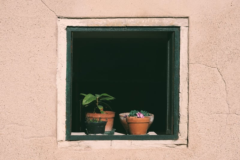 Window Sill Beauty
